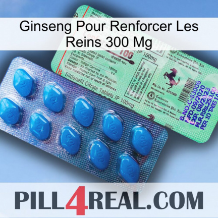 Ginseng For Reinforcing Kidney 300 Mg new02